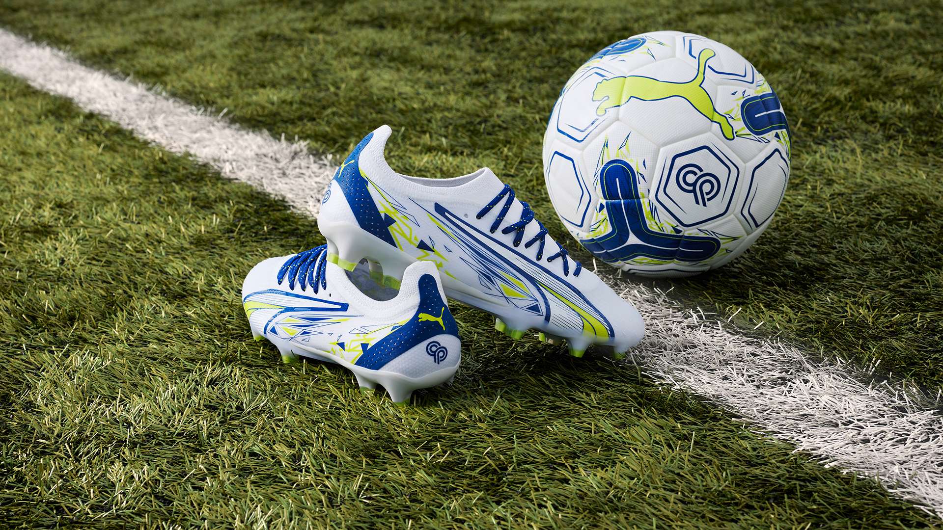 到如今的范 到如今的范