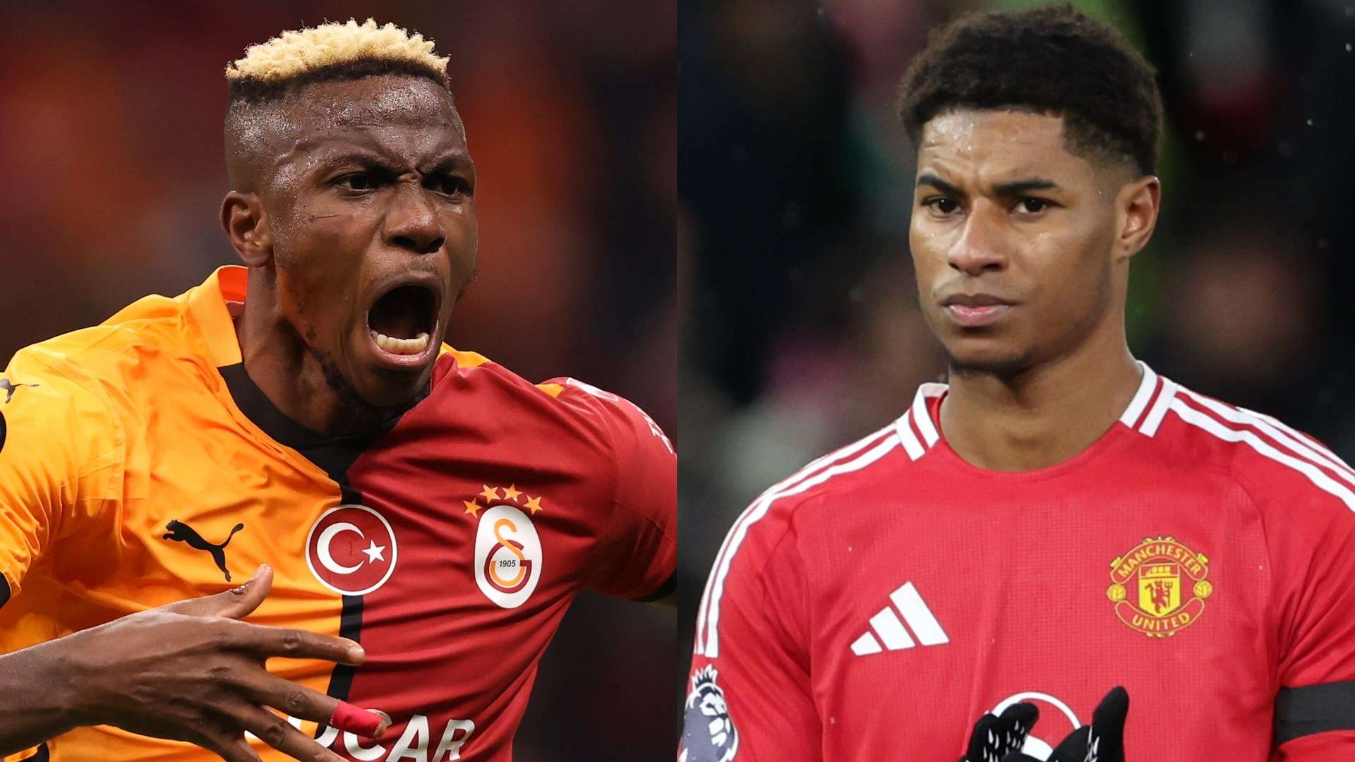 到如今的范 到如今的范